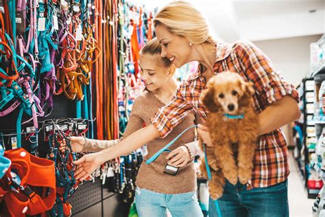 The cost of advertising your <strong>pets</strong> locally and through nationwide venues can strain your budget. . Buy a pet